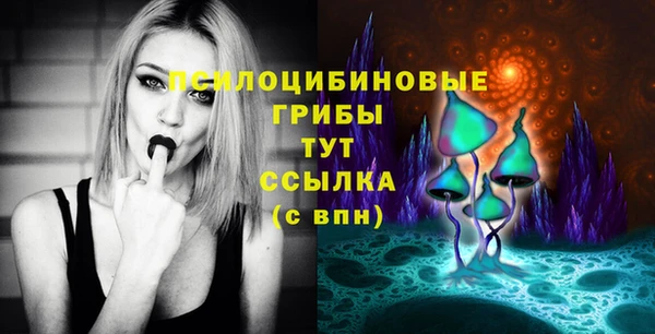 стаф Балахна