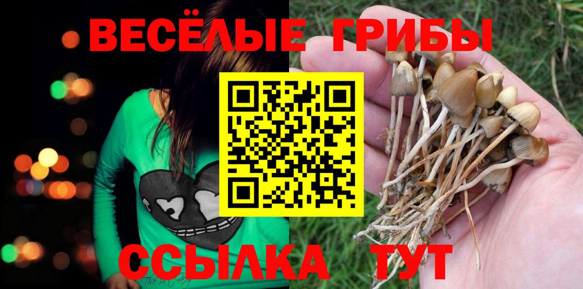 Псилоцибиновые грибы ЛСД Коммунар