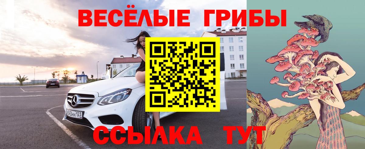 А ПВП Коммунар
