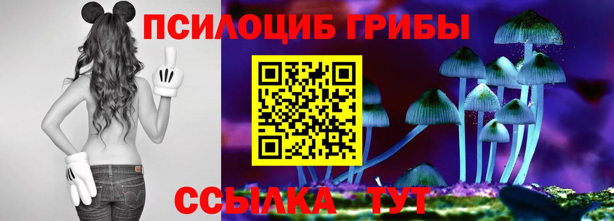 Коммунар  Псилоцибиновые грибы мухоморы  Вход с VPN 